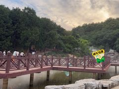 -北京西山国家森林公园