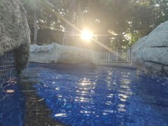 -三亚海棠湾南田温泉神龙谷