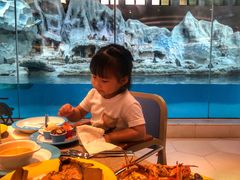 -帝企鹅自助餐厅•儿童岛•真企鹅(长隆企鹅酒店)