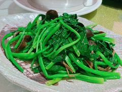 -新粤新疆菜清真餐厅(拱北店)