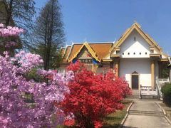 -报恩禅寺