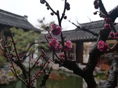 -水绘园