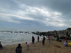 -广东惠东海龟国家级自然保护区