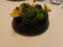 -杏花堂(北大街店)