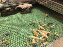 -金河半岛园林酒家(金融城店)