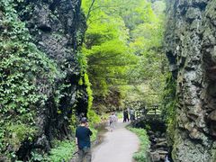 -夏霖九天银瀑风景区