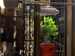 -探鱼·鲜青椒爽麻烤鱼(增城东汇城店)