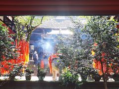 -青城山