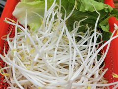 生菜-奇味鸡煲(麦地店)