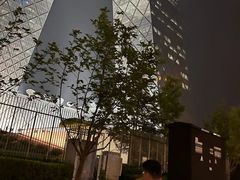 -中央广播电视总台(光华路办公区)