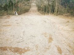 -四明山国家森林公园
