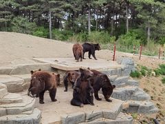 -沈阳森林动物园