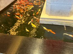 -龙悦湾酒家·八阵鱼生·渔人码头店