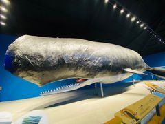 -青岛海底世界-水族馆