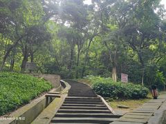 -火炉山森林公园