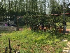 -前小桔亲子创意农场·草莓采摘·露营烧烤
