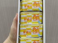 -卡吉诺动物奶油生日蛋糕(蓝堡湾店)