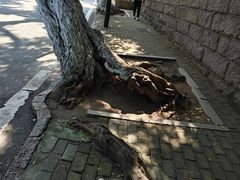 -青岛海滨风景区