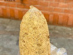 -范嬢嬢春森路糯米团