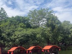 -侨美·唐荔园·40年地道粤菜