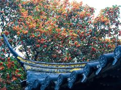 -虞山风景区