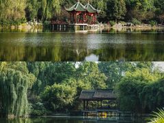-棠湖公园