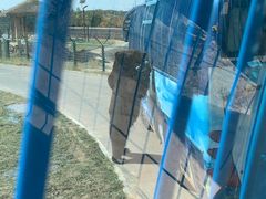 -鄂尔多斯野生动物园