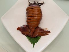 -繁江酒楼(包头路店)