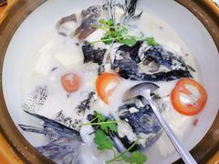 -全乐鱼馆·淳牌有机鱼直营店