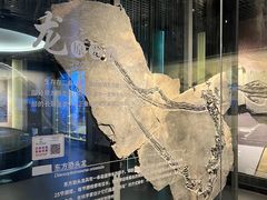 -贵州省地质博物馆