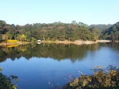 android_upload_pic-广州市石门国家森林公园