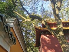 -普陀山风景名胜区-法雨禅寺