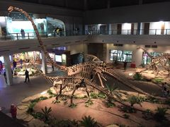 -自贡恐龙博物馆