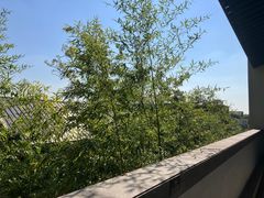 -水月周庄铂尔曼酒店-水月荟中餐厅