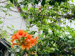-较场尾