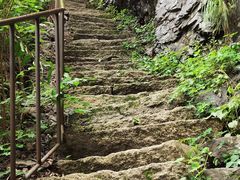 -云岫谷游猎自然风景区