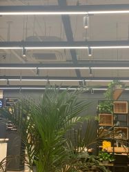 -藤野造型·专业烫染店
