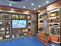 -艾克瑞特AI机器人·少儿编程·人工智能通识教育·STEAM教育(伟东校区)