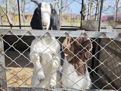 -兴芮温泉度假区