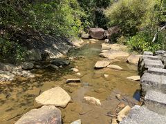 -广州白江湖森林公园