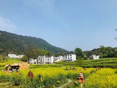 -婺源风景区