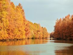 -上海海湾国家森林公园