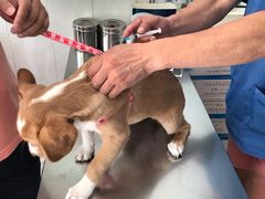 -畜牧兽医站(共江路店)