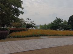 -上海山野camping·户外天幕烧烤·团建拓展营地