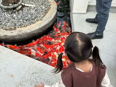 -三溪村