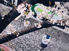 -上海南浦大桥长途旅游客运站