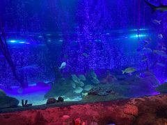 -沈阳海洋探索中心