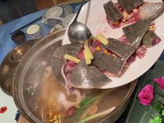 甲鱼-千岛蚝高压锅生蚝·人参火锅(白云万达店)