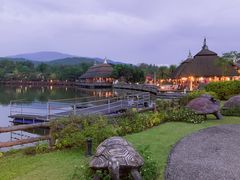 -清迈夜间动物园