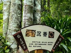 -西双版纳基诺山寨